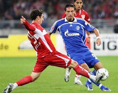 这不仅引发 这不仅引发